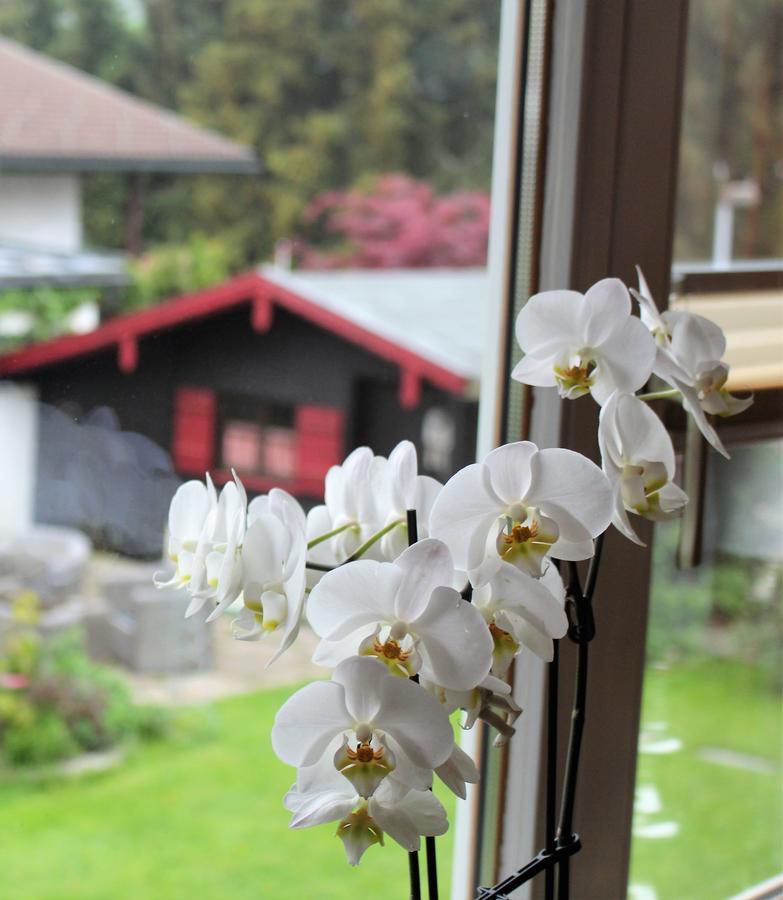 Gaestehaus Schmid Hotel Oberstaufen Exterior photo